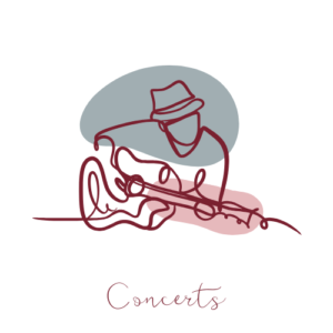 Photographe concerts Auch Gers