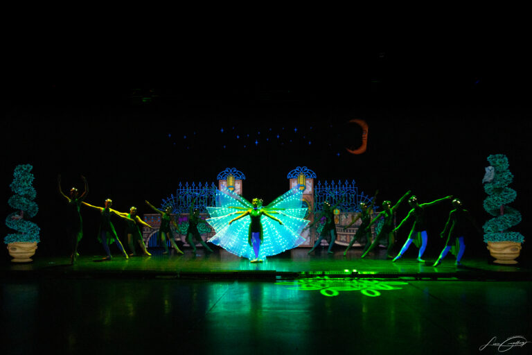 spectacle Mary candies Pellier Auch