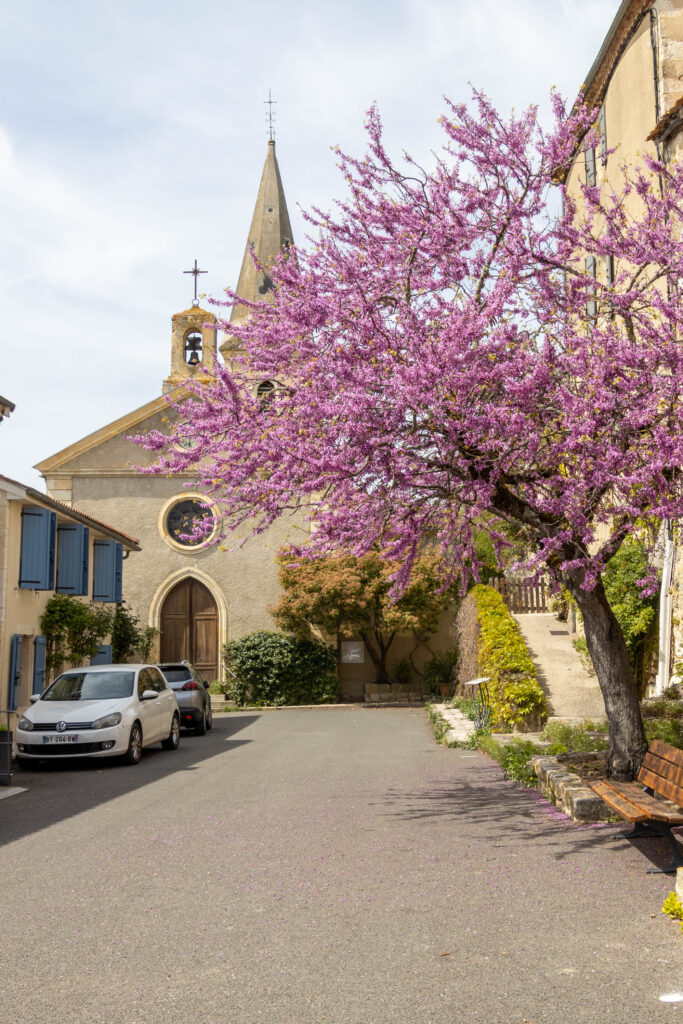 Le Gers en 461 étapes Village Ordan Larroque joli cerisier en Fleurs