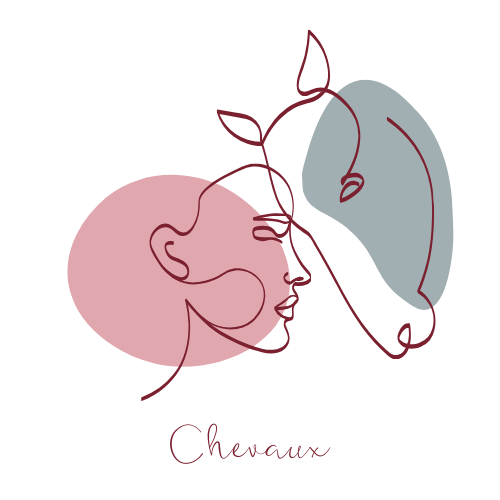 logo stylisé cheval et cavalier