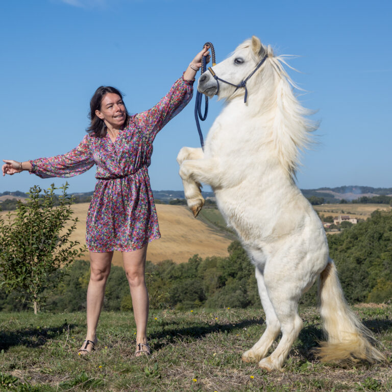 photo poney cabré