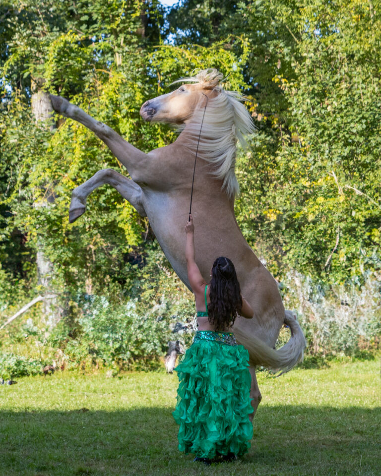 Balou et Lydia festichval 2024 imprimer ses photos