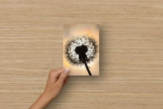 Carte postale - Pissenlit en contre-jour