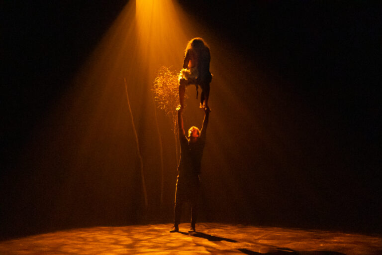 Photo de scène lors du festival CIRCa à Auch Tina Spectacle Circa 2021