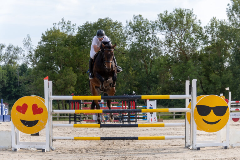 Cheval en plein saut au concours CSO de Preignan
