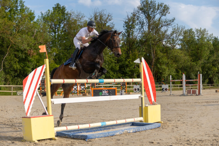 Cheval en plein saut au concours CSO de Preignan