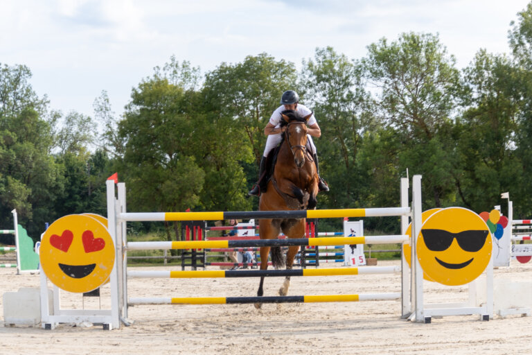Cheval en plein saut au concours CSO de Preignan