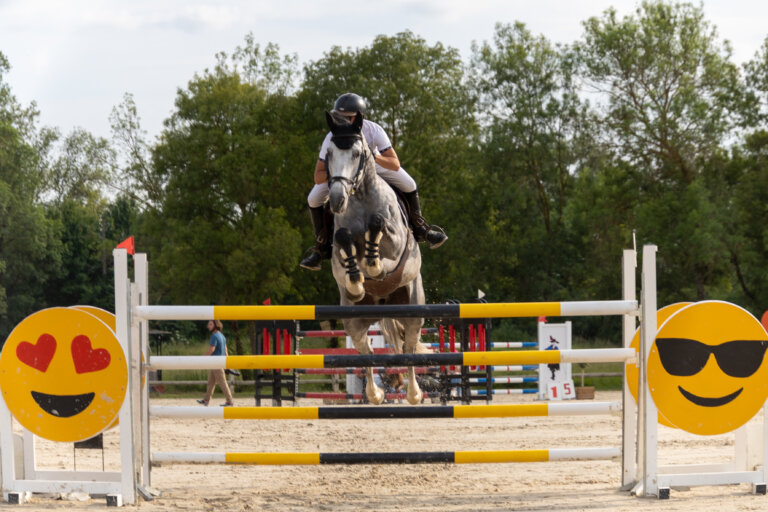 Cheval en plein saut au concours CSO de Preignan