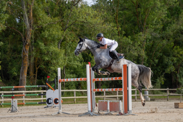 Cheval en plein saut au concours CSO de Preignan