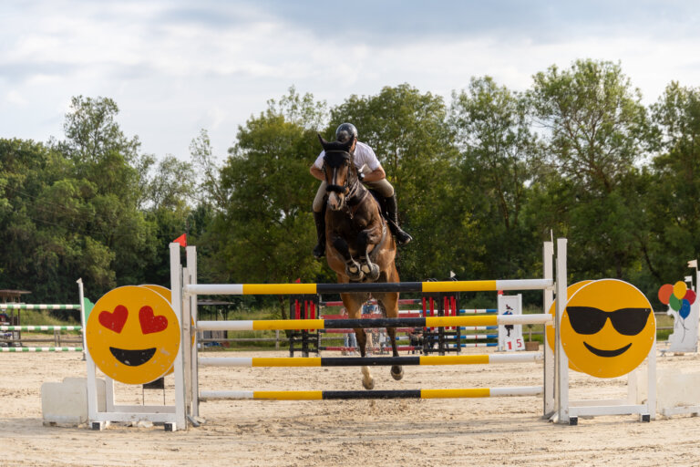 Cheval en plein saut au concours CSO de Preignan