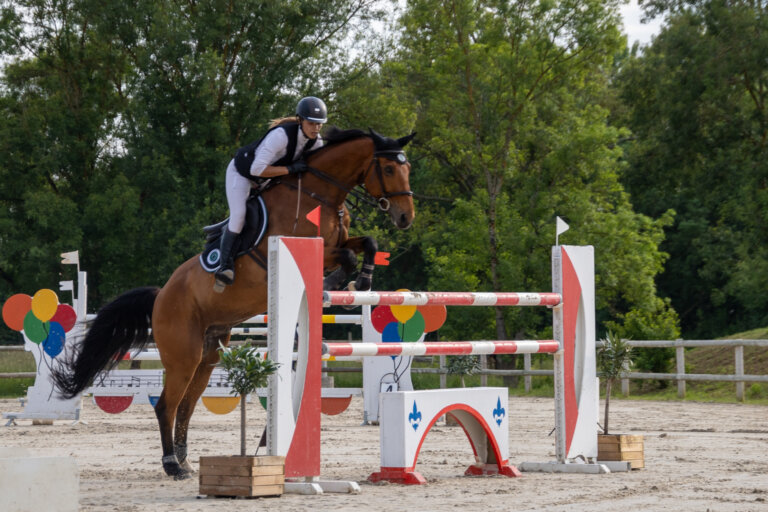 Cheval en plein saut au concours CSO de Preignan