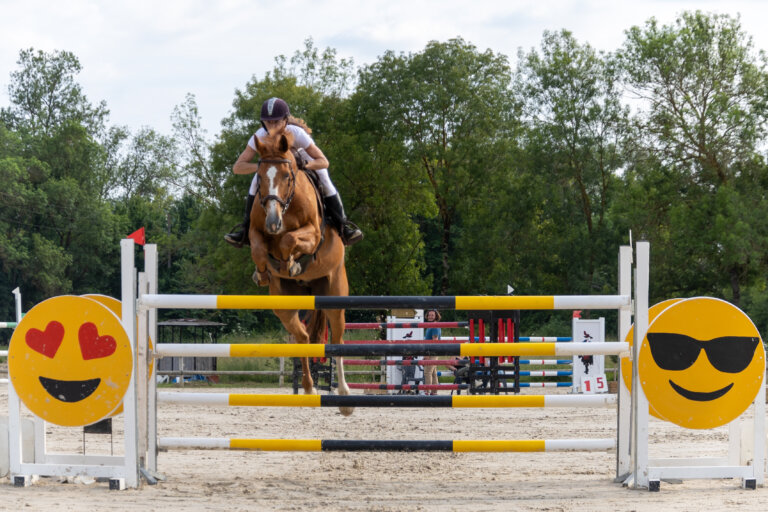 Cheval en plein saut au concours CSO de Preignan