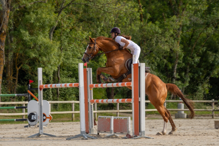 cheval cso saut obstacle exterieur photographe equin Gers
