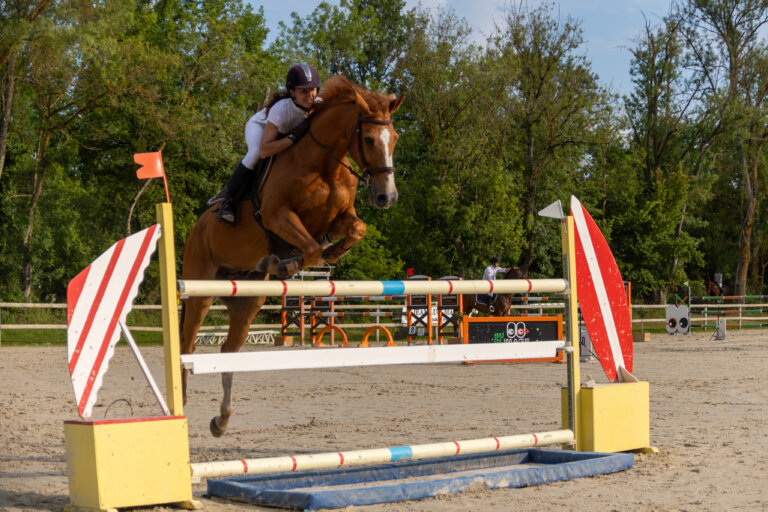 Cheval en plein saut au concours CSO de Preignan