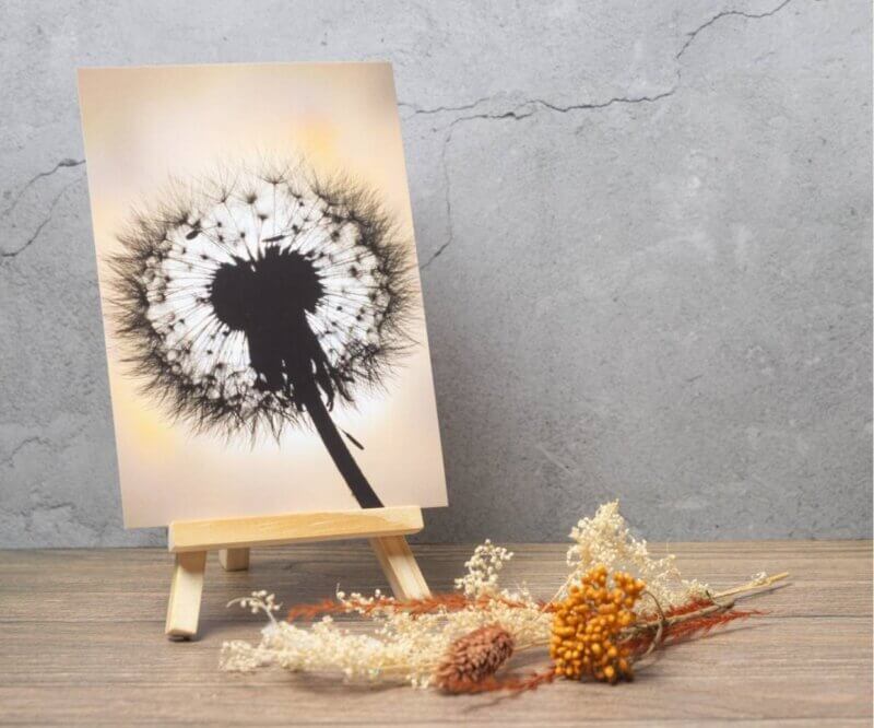 Carte postale représentant un pissenlit en contre-jour avec ses aigrettes délicates sur un fond lumineux et naturel.