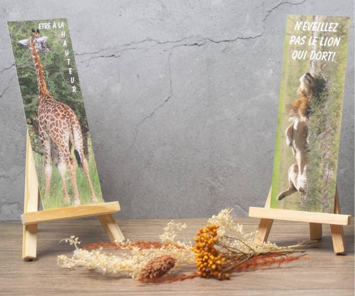 Marque-page recto verso illustré par une girafe en savane africaine et un lion au repos avec citations inspirantes.